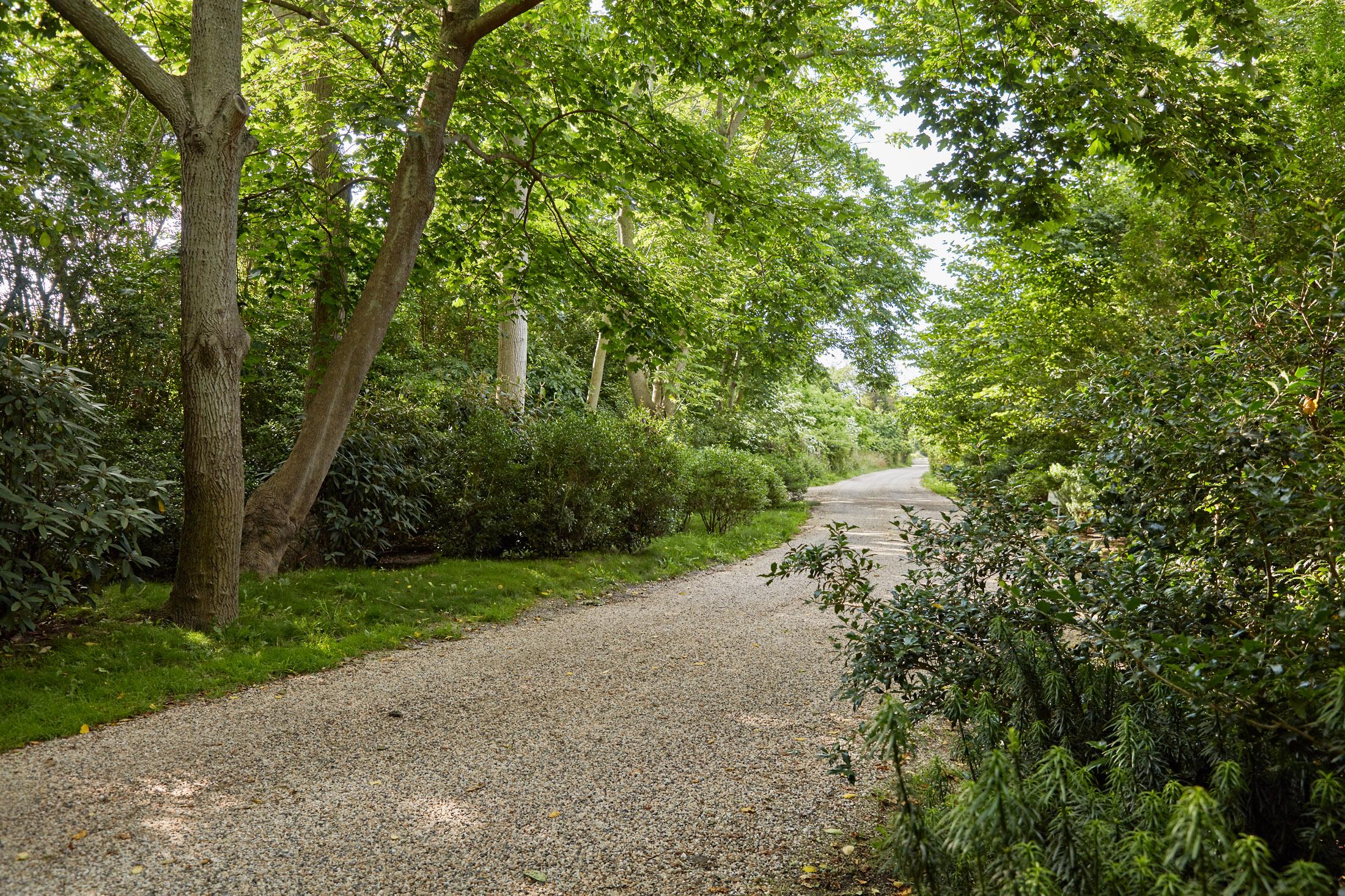 Pond Drive Hollander Design