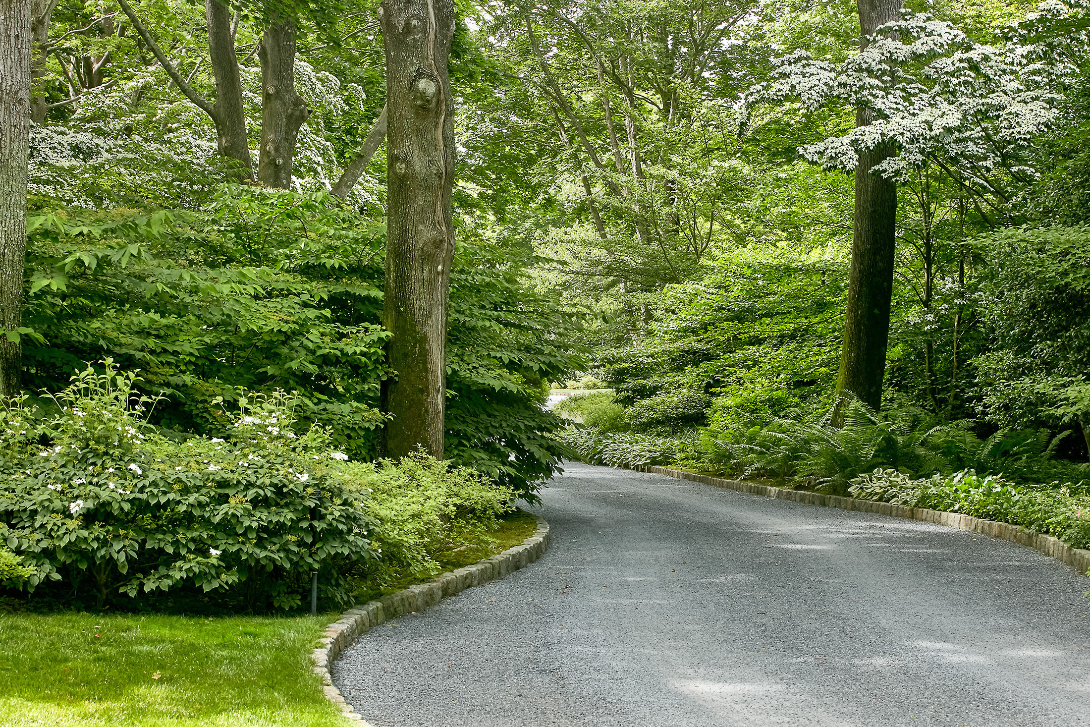 Forest Retreat | Hollander Design