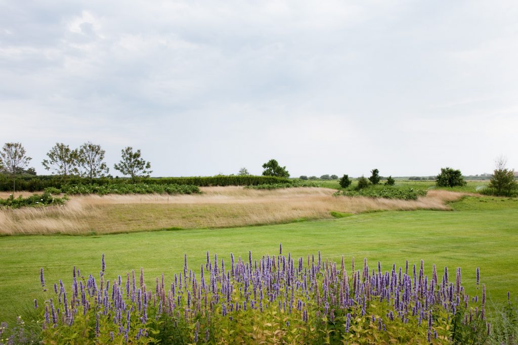 Rolling Meadows Hollander Design