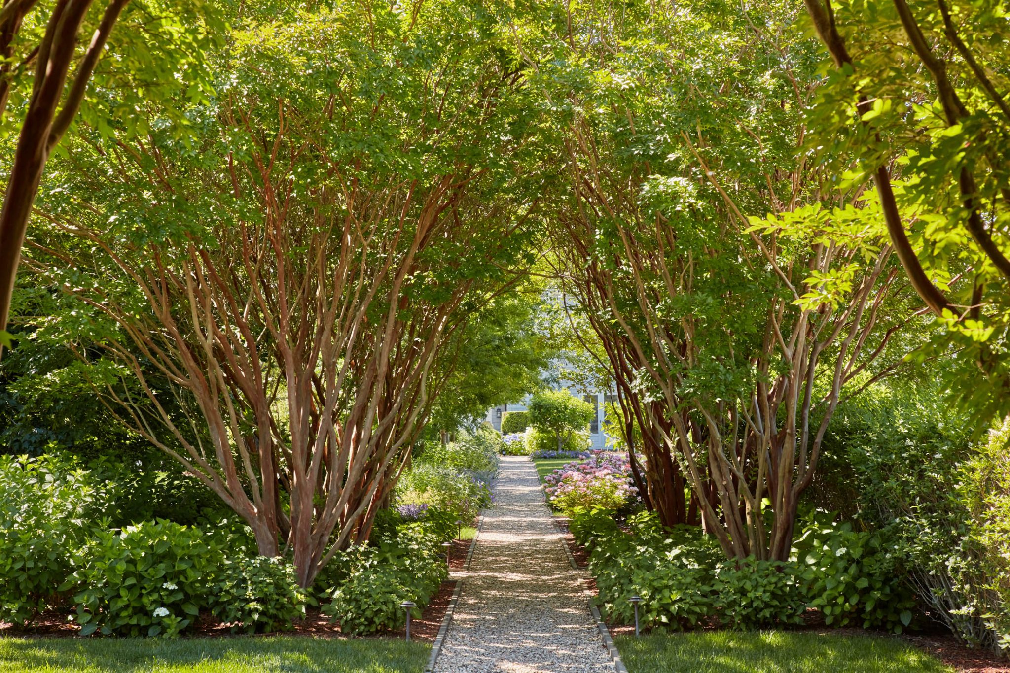 Hedges House Hollander Design