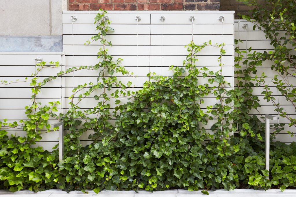 Park View Courtyard & Rooftop | Hollander Design