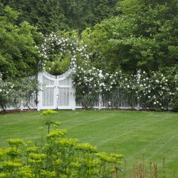Forest Retreat | Hollander Design