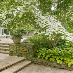 Forest Retreat | Hollander Design