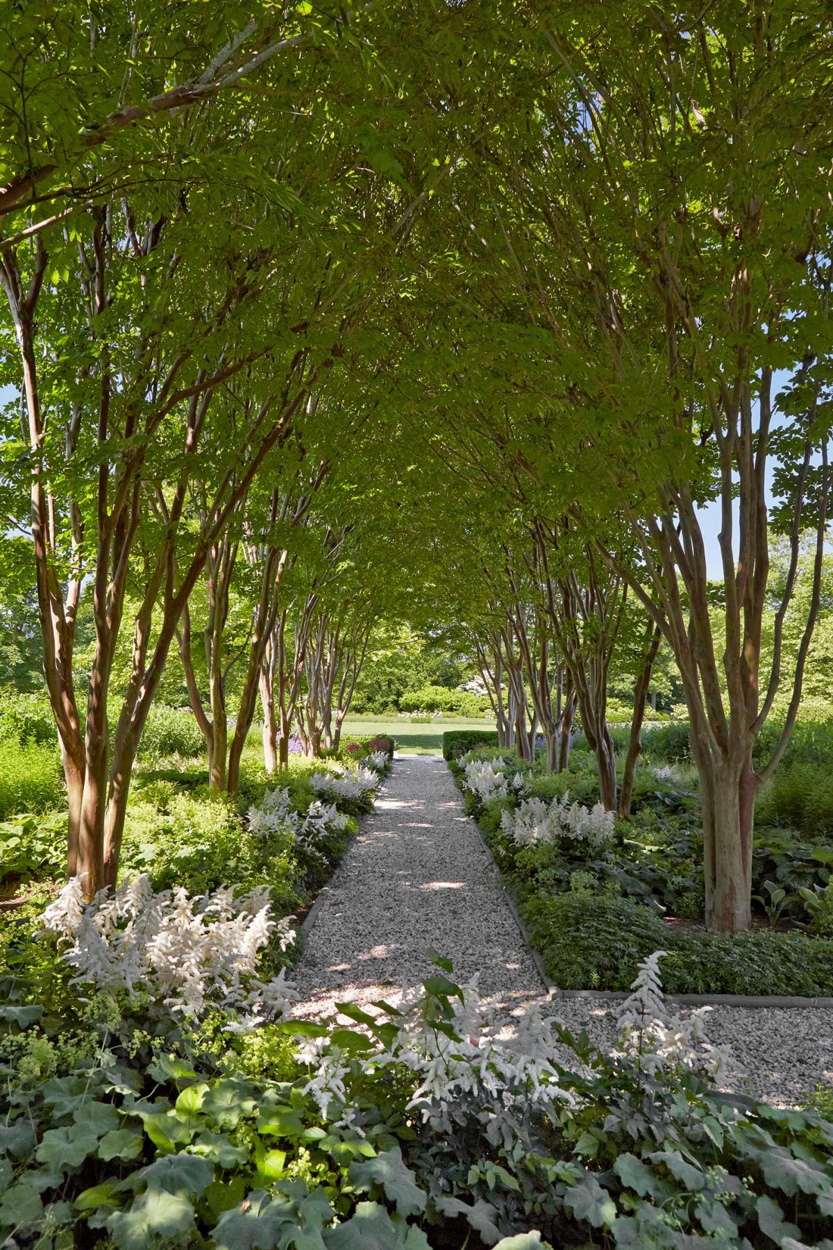 Family Retreat | Hollander Design