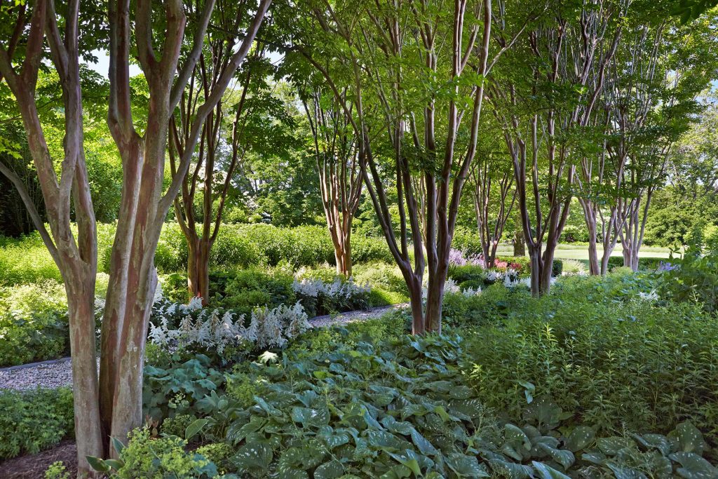Family Retreat | Hollander Design
